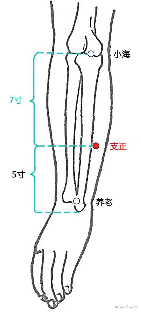 支正穴正確位置